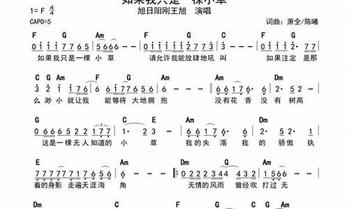 如果我只是一棵小草_如果我只是一棵小草歌词