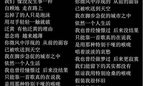 其实歌词是什么意思_其实歌词是什么意思啊